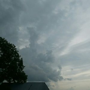 My activity will be on hold until further notice.